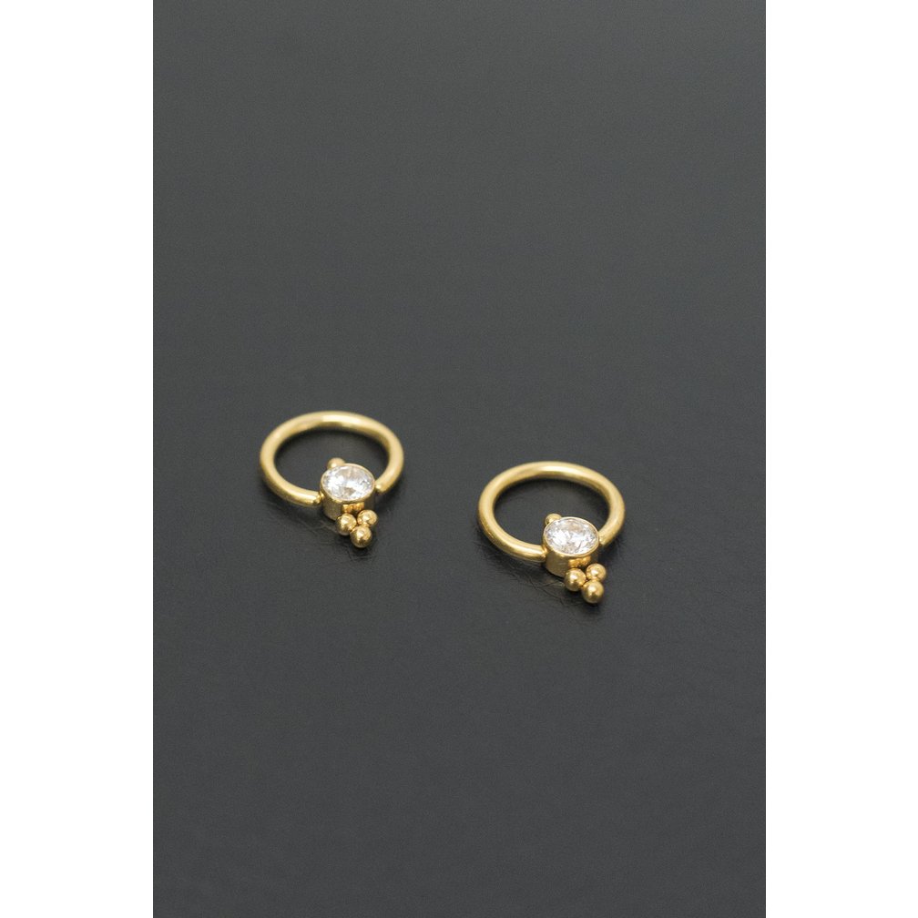 Vergulde Titanium Ring - Premium Zirconia
