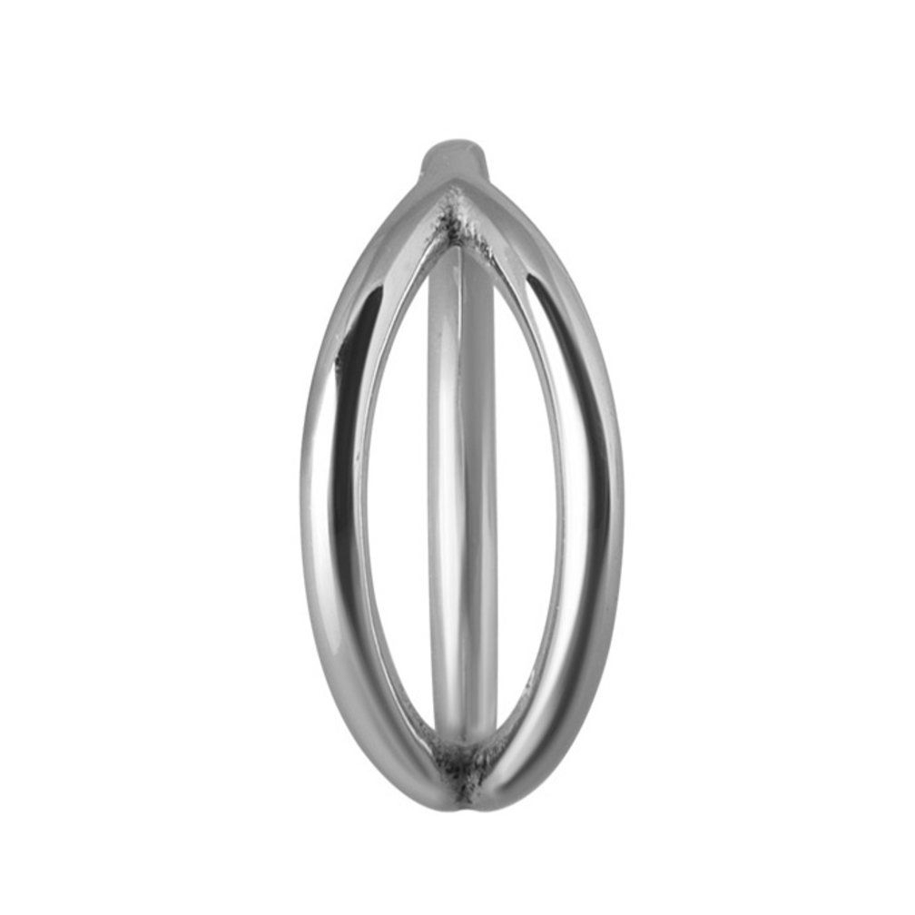 Chirurgisch Staal Click Ring
