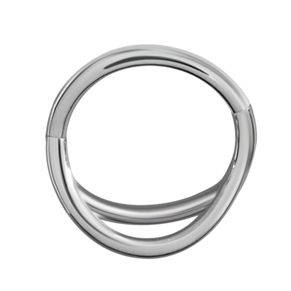 Chirurgisch Staal Click Ring