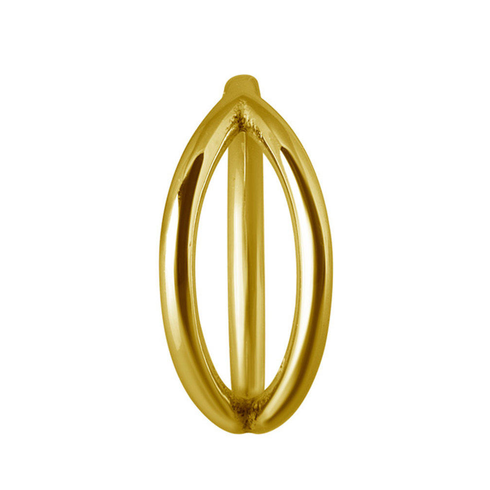 Chirurgisch Staal Click Ring
