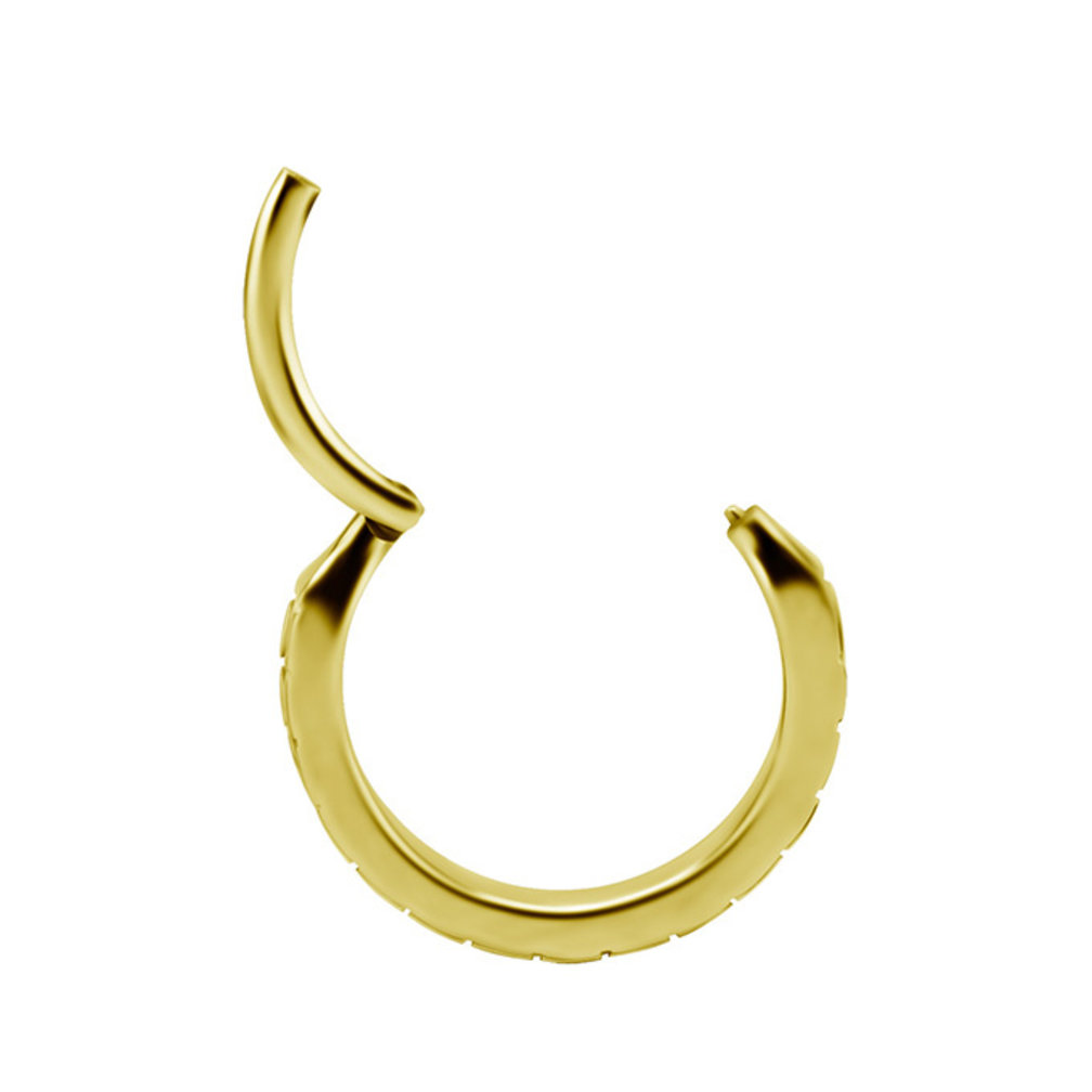 Vergulde Hinged Ring - Zirkonia