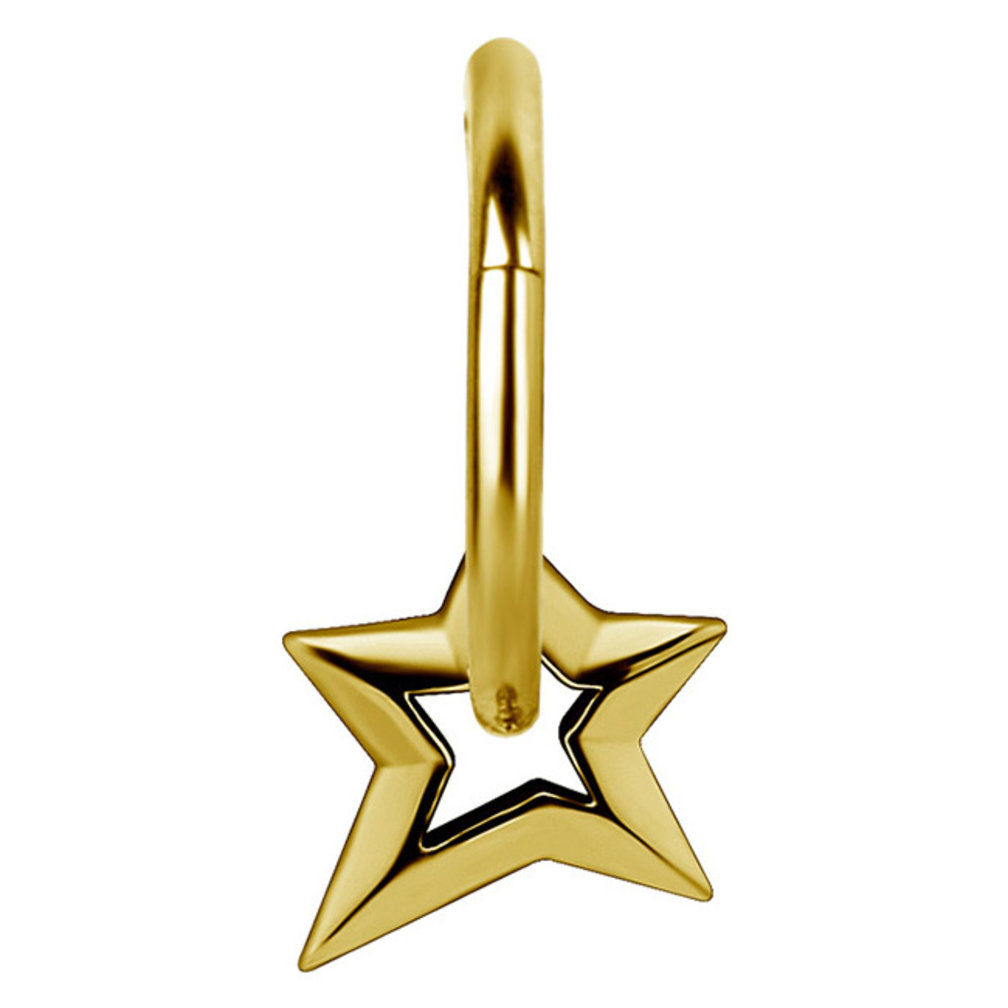 Segment Ring Charm - Star
