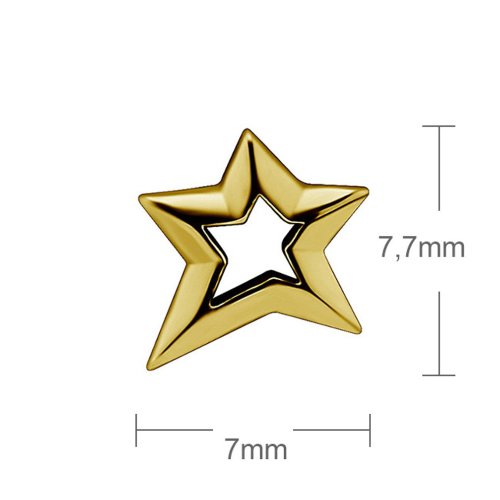 Segment Ring Charm - Star