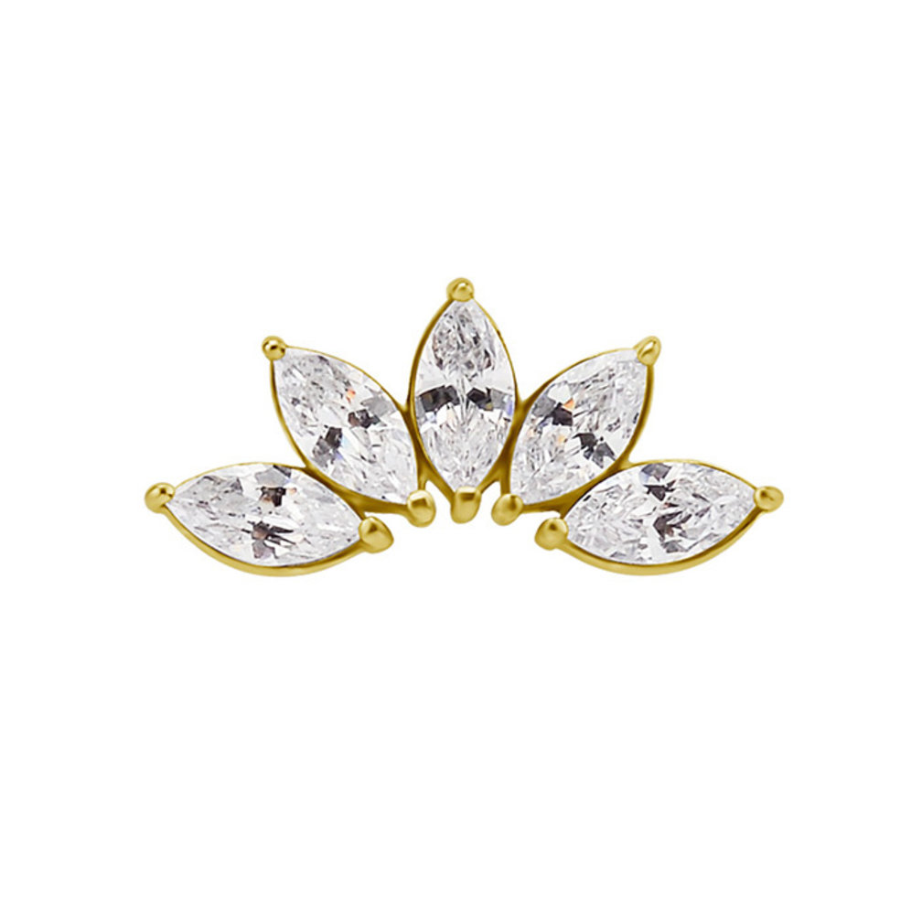 Surgical Steel Barbell - Zirconia