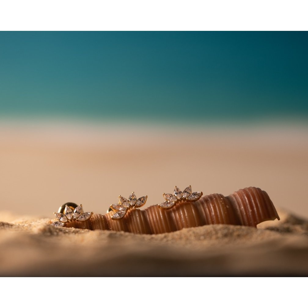 Surgical Steel Barbell - Zirconia