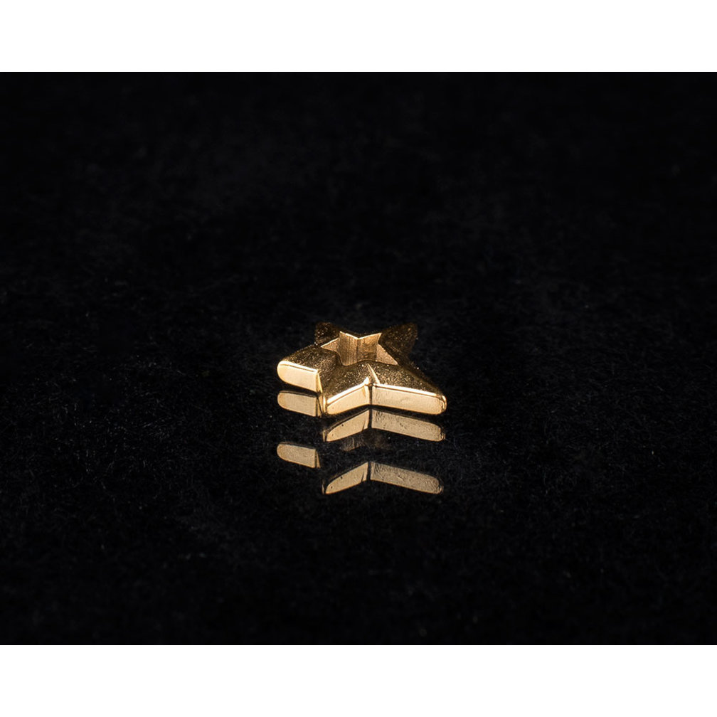 Segment Ring Charm - Star