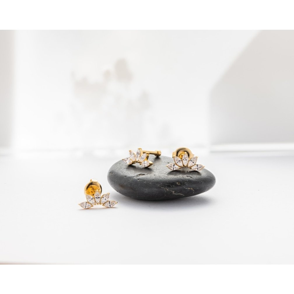 Surgical Steel Barbell - Zirconia