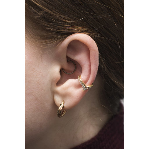 ALOME PIERCINGS Hoop Earring, 20 gauge Sterling silver Cartilage India |  Ubuy