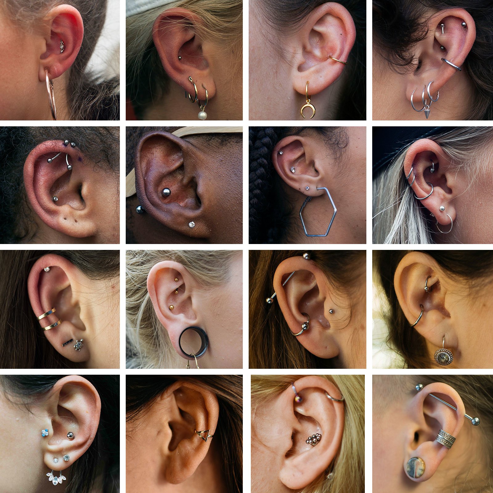 Raak verstrikt logica Bek Conch Piercings - Piercings Works