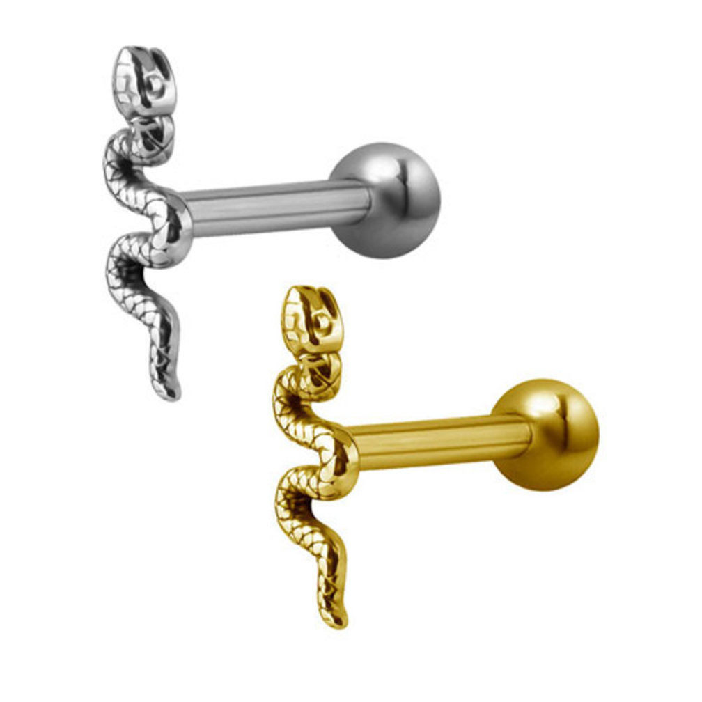 Chirurgisch Staal Oor Piercing Slang Piercings Works