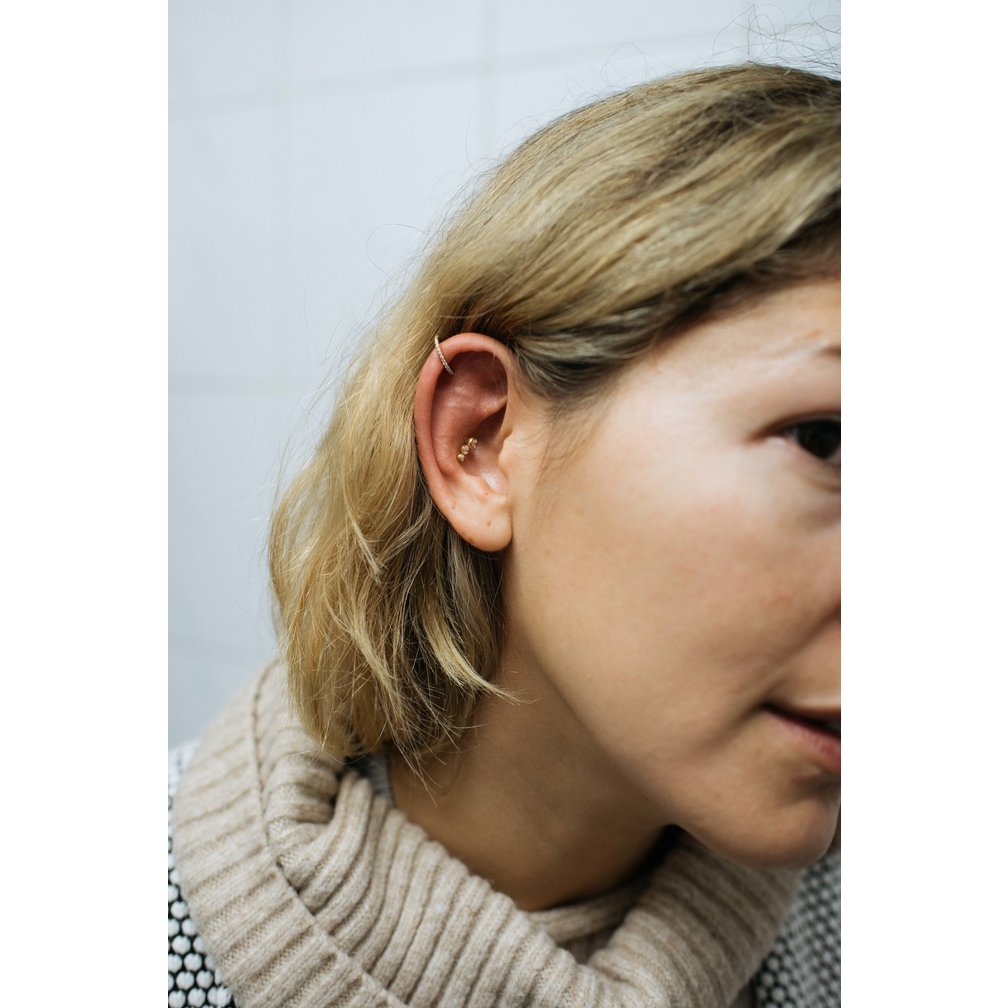 14 Karaat Massief Gouden Hinged Segment Ring