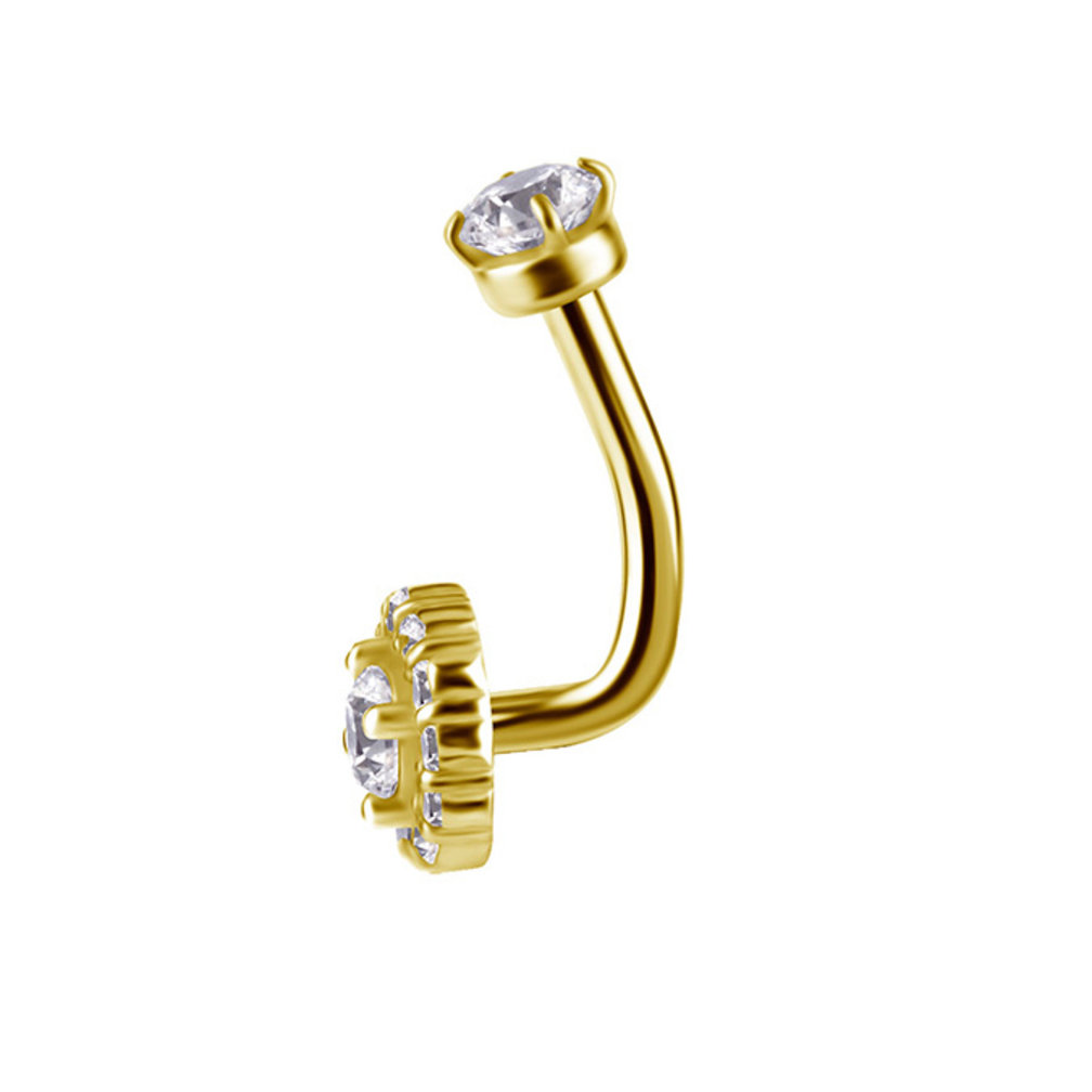 Surgical Steel Rook Piercing - Premium Zirconia