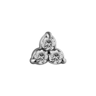 Piercings Works Surgical Steel Barbell - Trinity