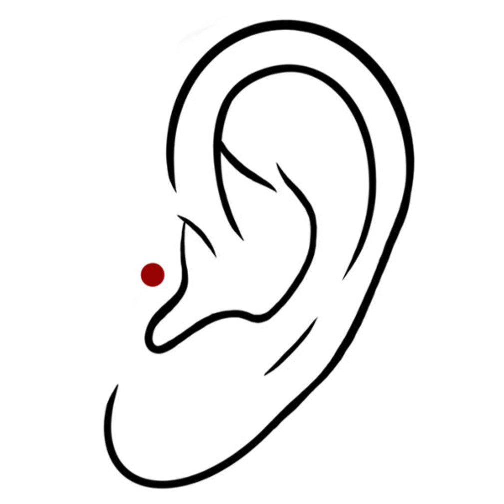 Surgical Steel Barbell - Premium Zirconia Spider