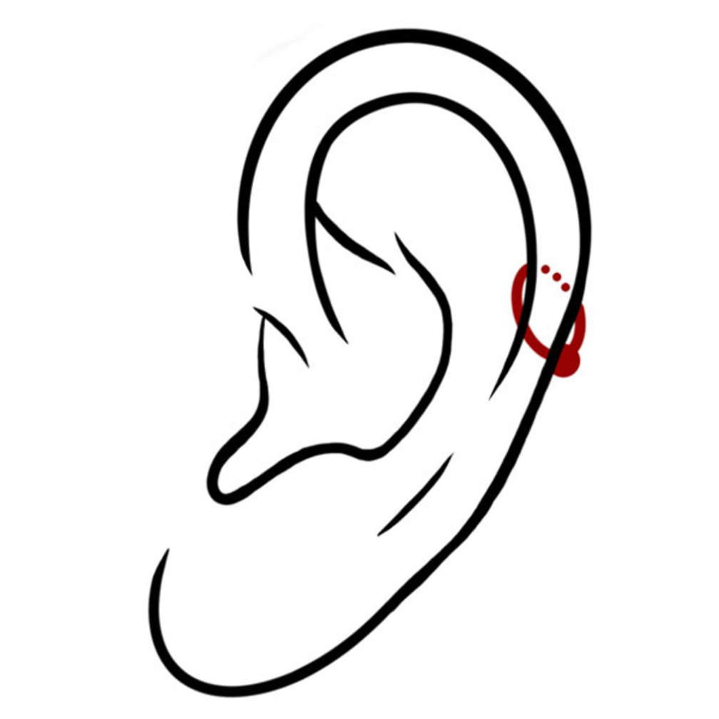 Chirurgisch Staal Barbell - Wietblad