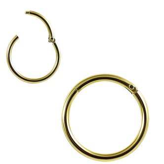 Piercings Works 18K Vergulde Seamless Neus Ring