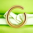 Gold Plated Segment Ring - Basic (1.2mm)