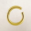 Gold Plated Segment Ring - Basic (1.2mm)