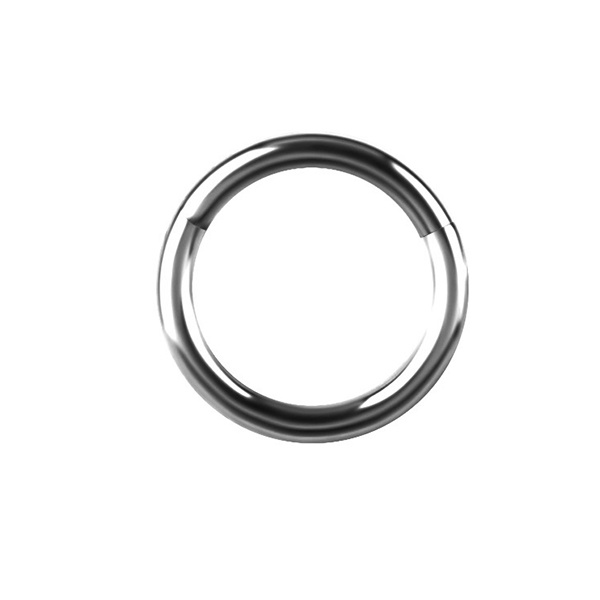 Minimalistic Titanium Segment Ring Piercings Works