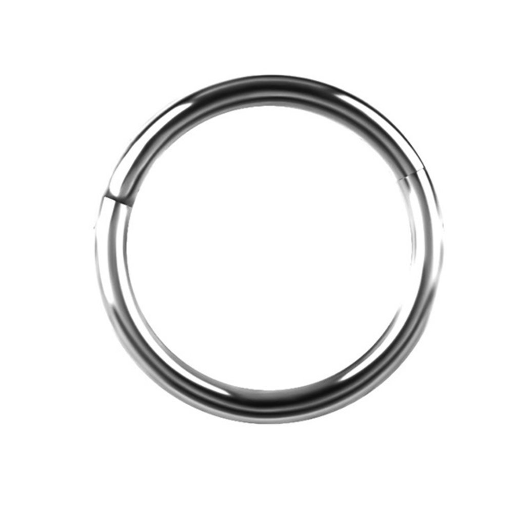 Minimalistic Titanium Segment Ring