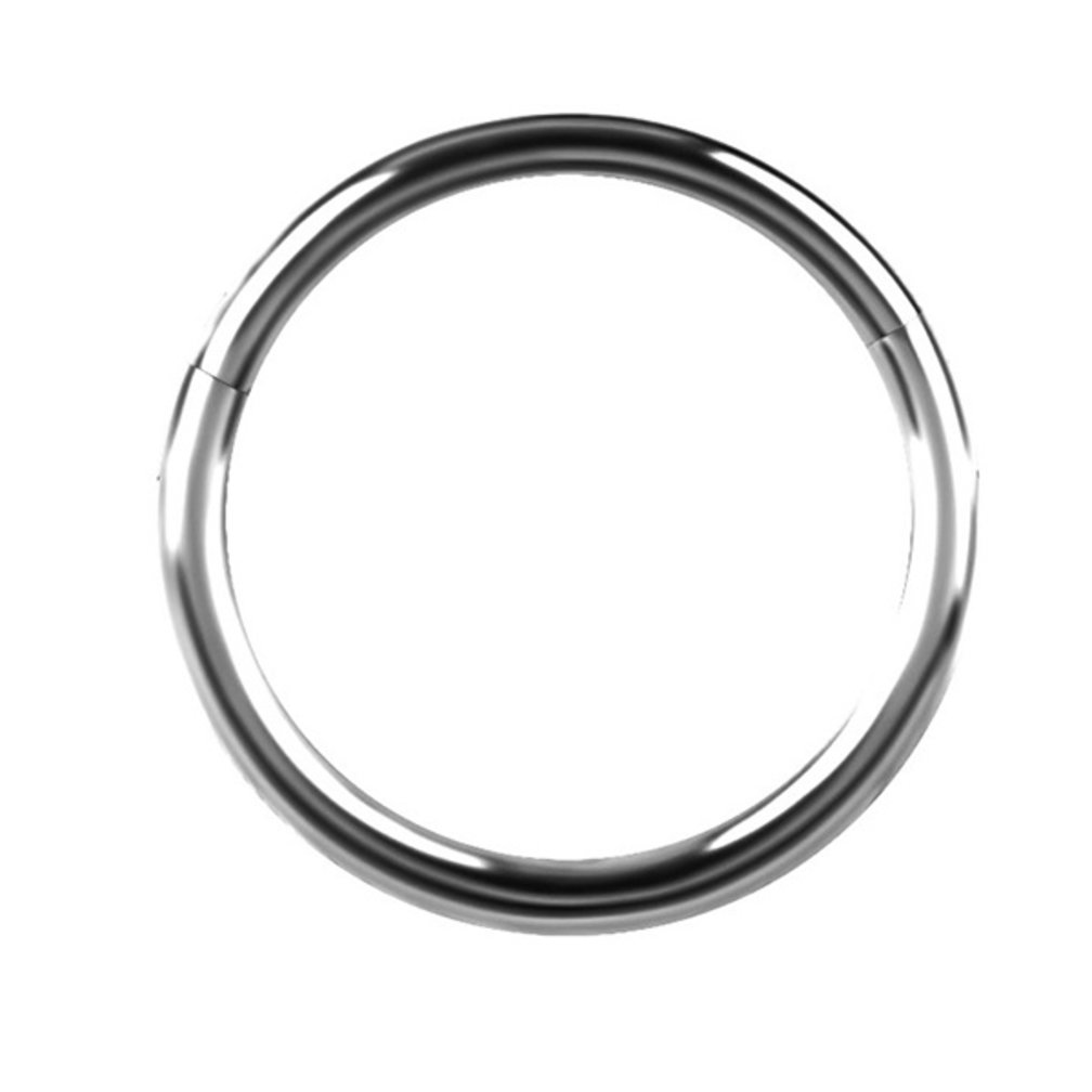 Minimalistic Titanium Segment Ring