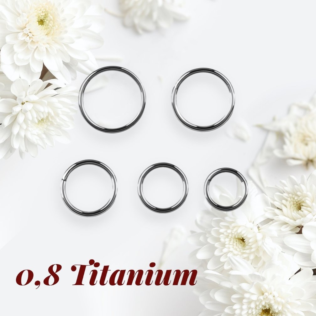 Minimalistic Titanium Segment Ring