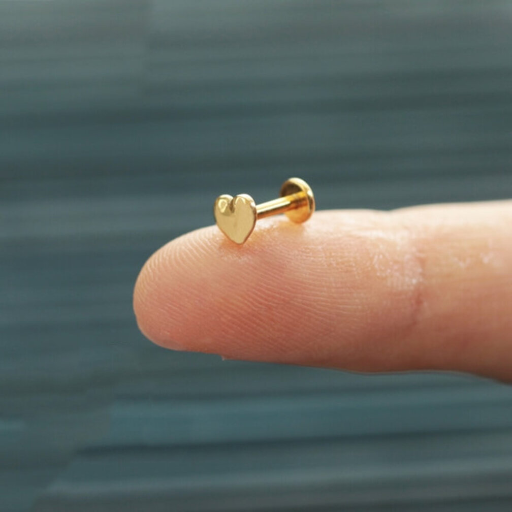 Schattige Hartje Oor Piercing met Betoverend Design