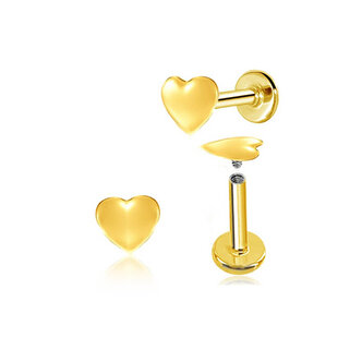 Piercings Works Schattige Hartje Oor Piercing met Betoverend Design