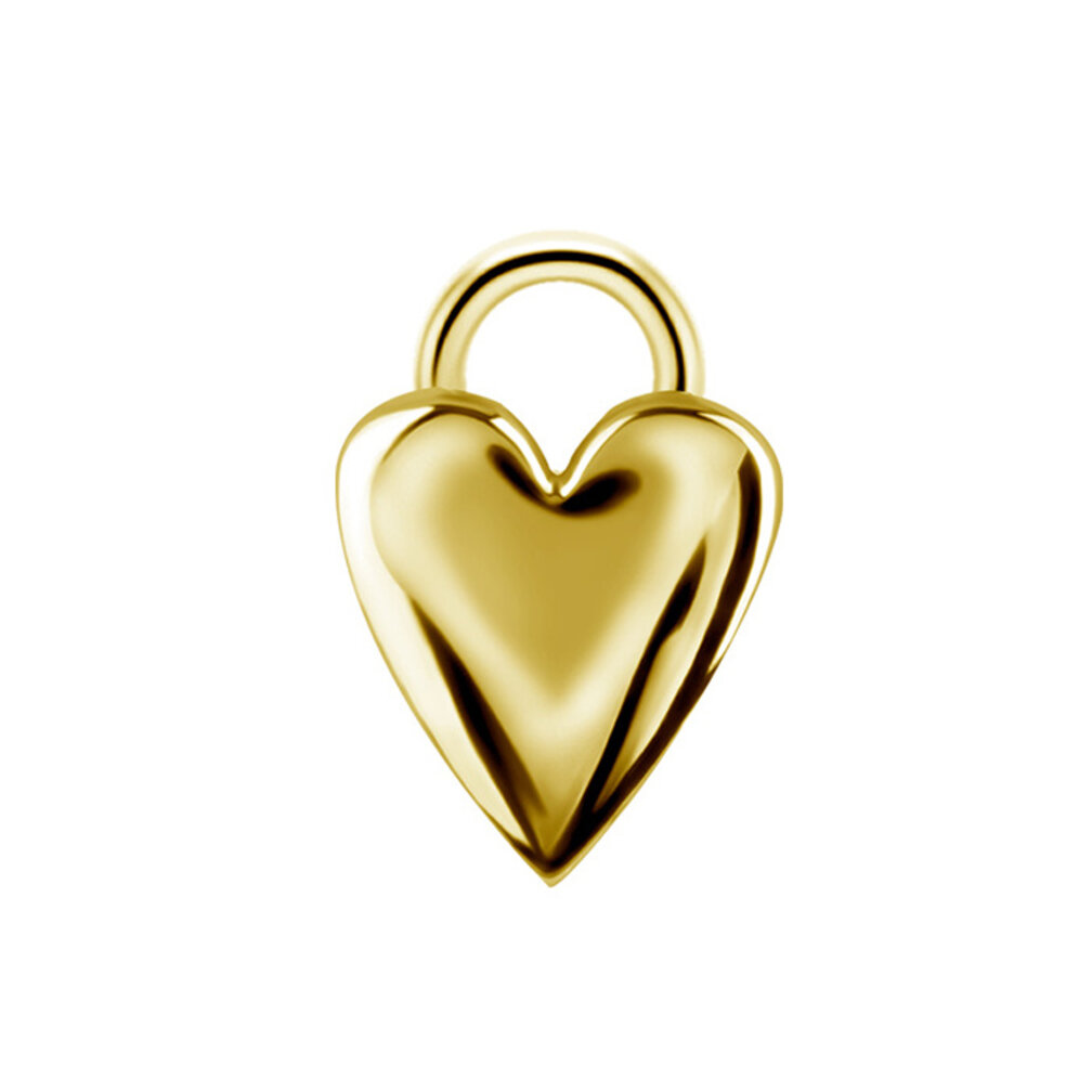 Elegantie van de Liefde: Hartvormige Segment Ring Hanger