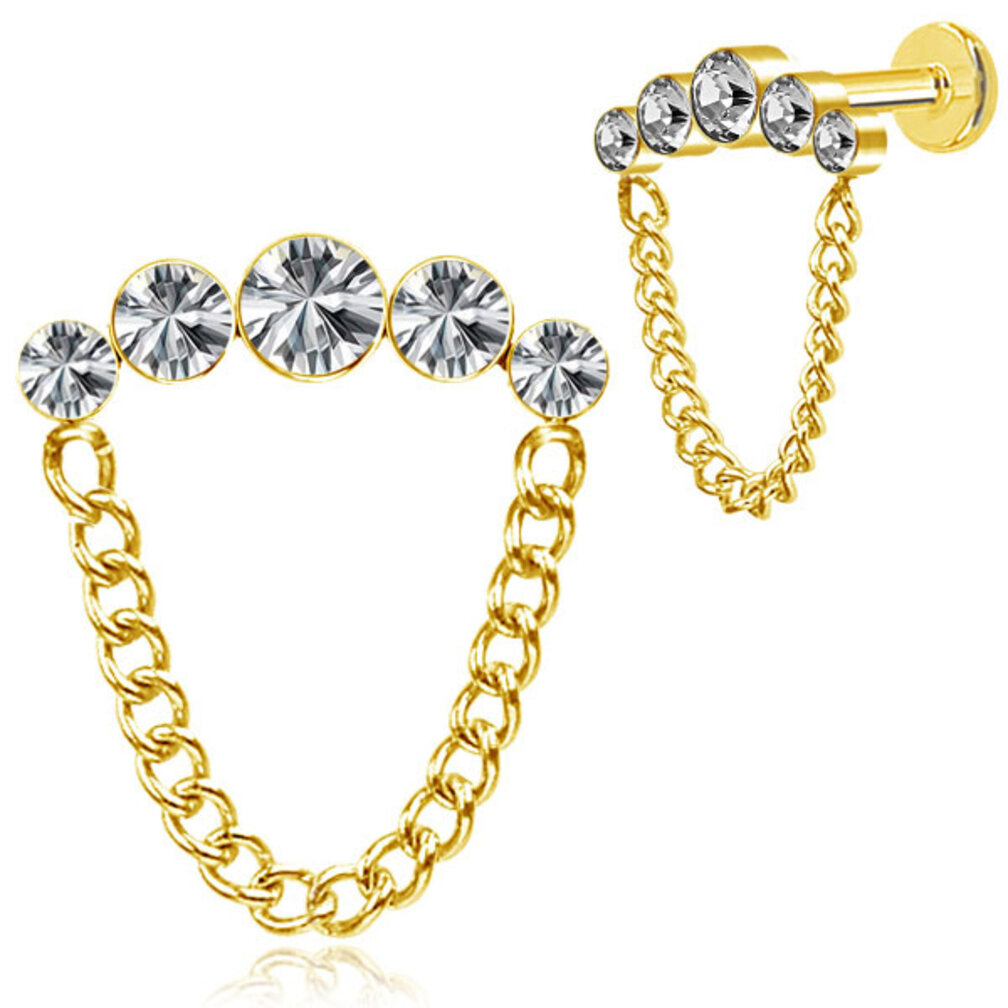 Prachtige Oorpiercing met Zirkonia en Ketting