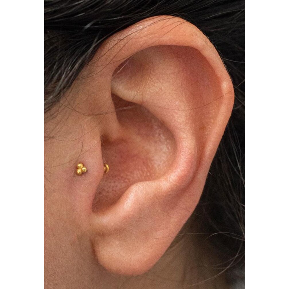 Titanium Barbell - Trinity