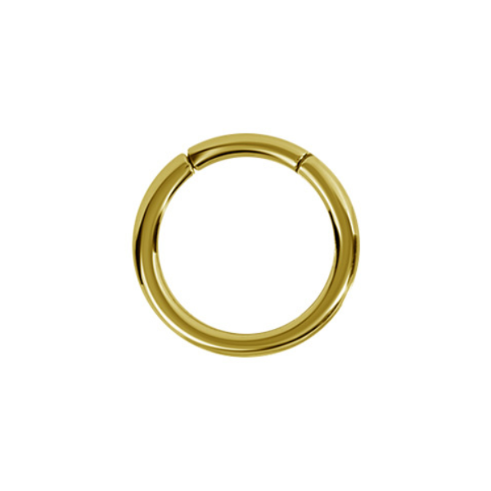 18 Karaat Goud Segment Ring - Basic  (0.8mm)
