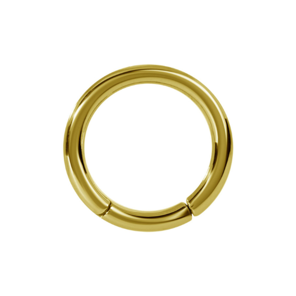 18 Karaat Goud Segment Ring - Basic  (0.8mm)