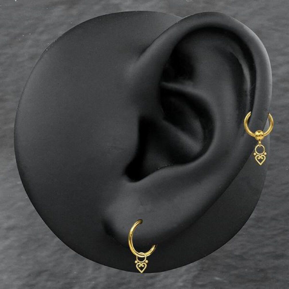 Open Ring Hartbedel voor Segment Ring