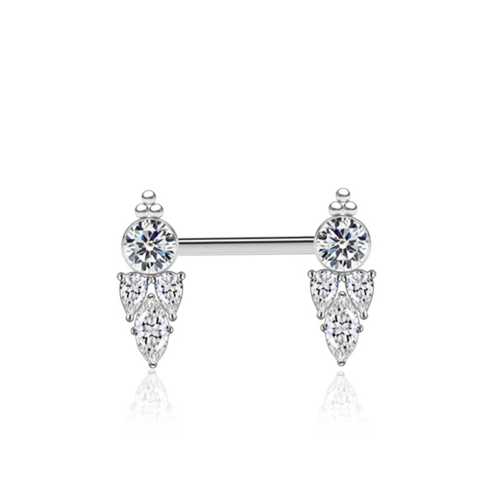 Stijlvolle Stalen Tepelbarbell met Kristallen