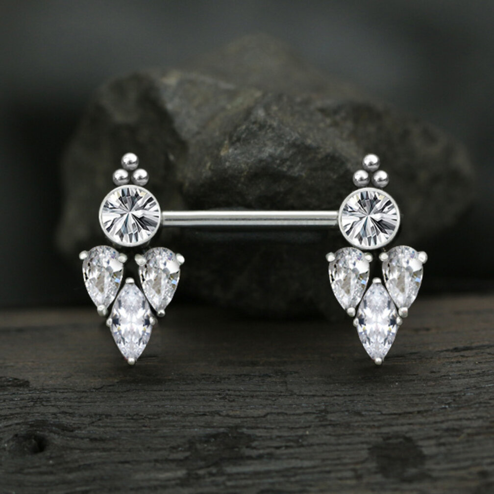 Stijlvolle Stalen Tepelbarbell met Kristallen