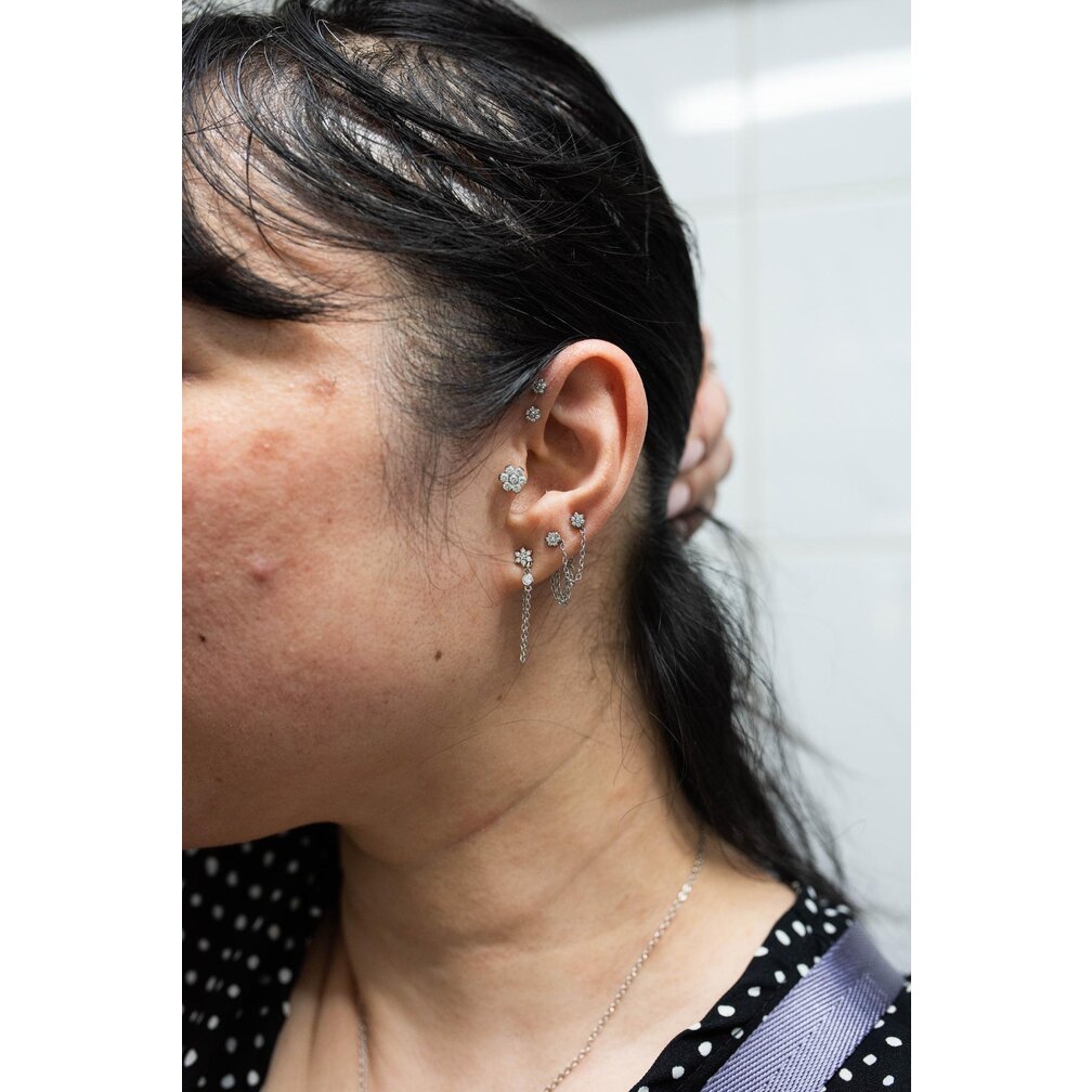 Titanium Barbell - Premium Zirkonia Bloem