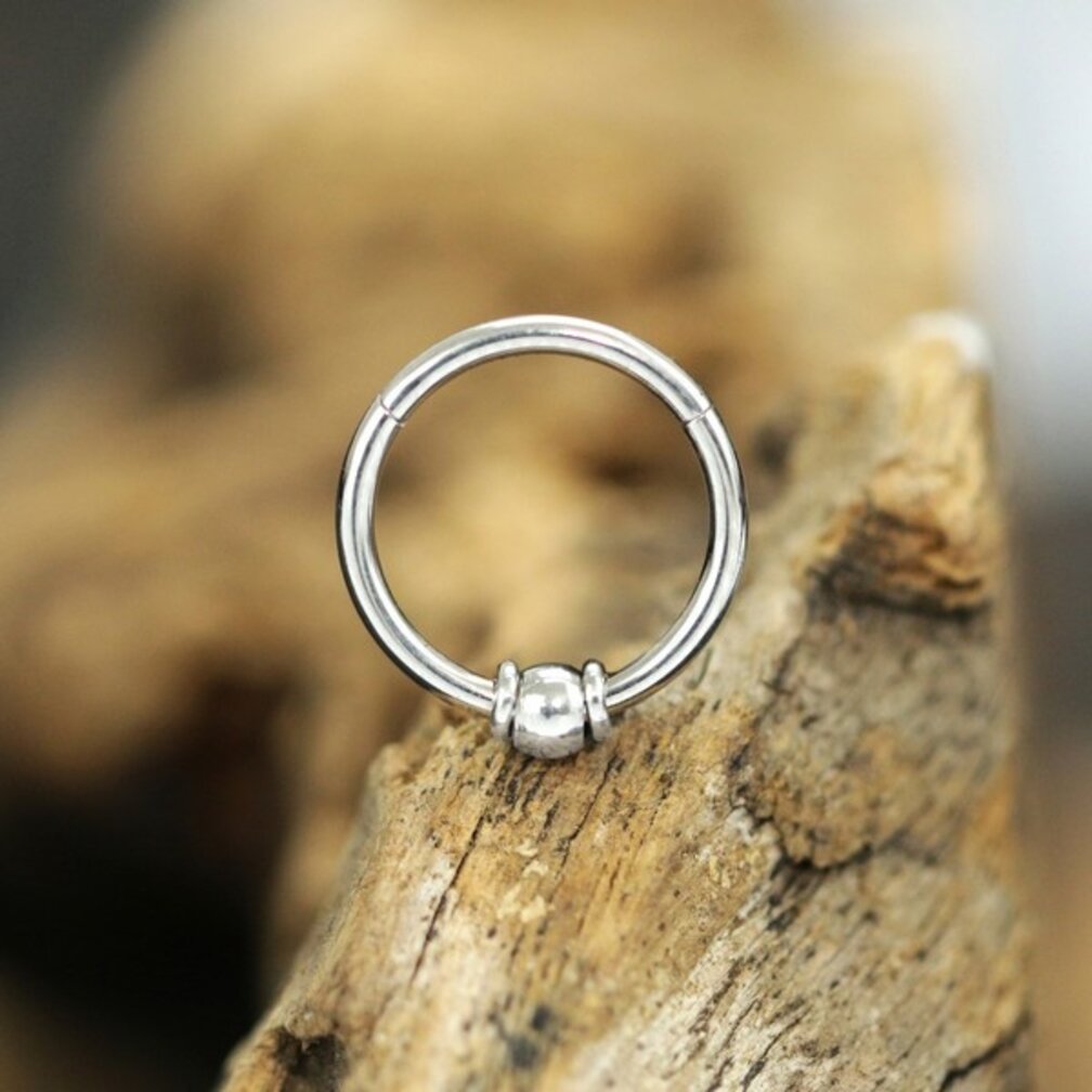 Elegante Chirurgisch Stalen Segment Ring