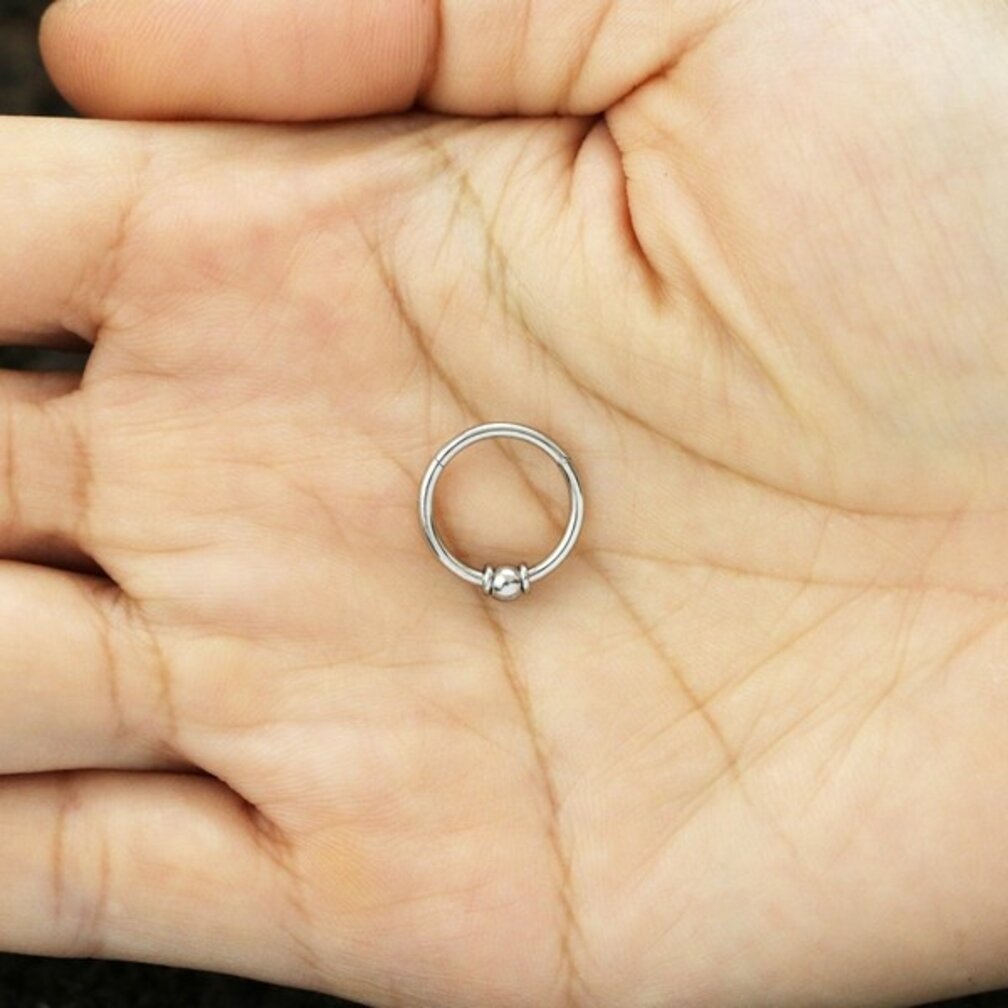 Elegante Chirurgisch Stalen Segment Ring