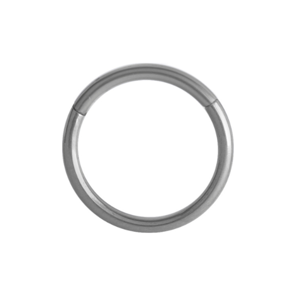 Niobium Segment Oor Ring  - Basic