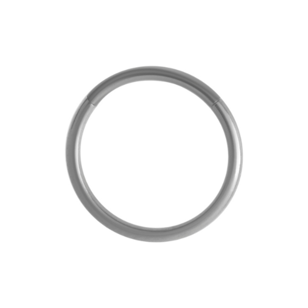 Surgical Steel Segment Ring Basic (1,2mm)