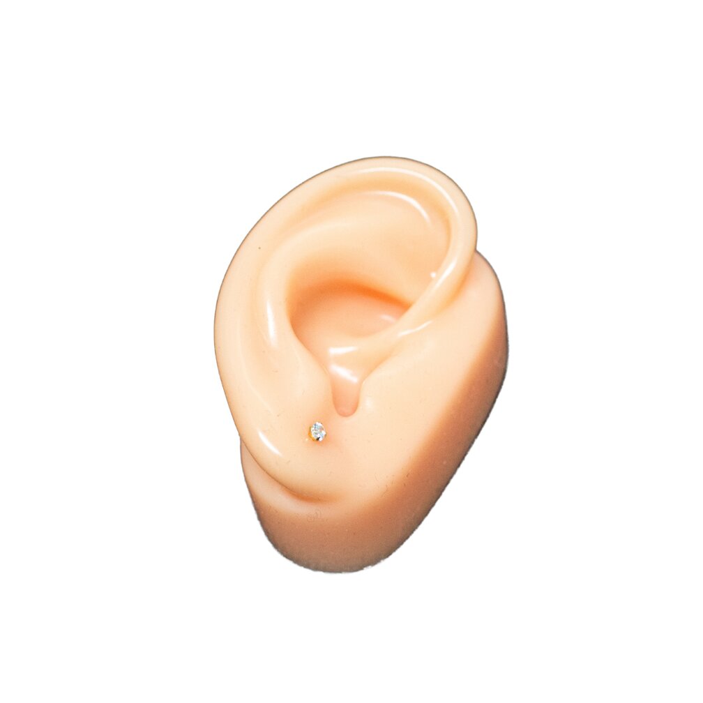 Piercing Inzetnaald – 1.2mm (Voor Gemakkelijk Wisselen van Sieraden)