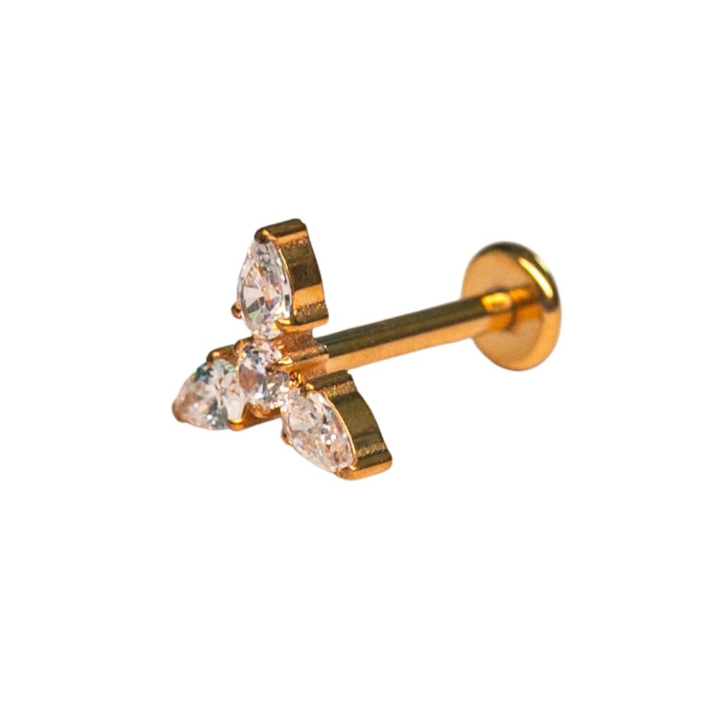 Stijlvolle Titanium Helix / Tragus Piercing - Trinity