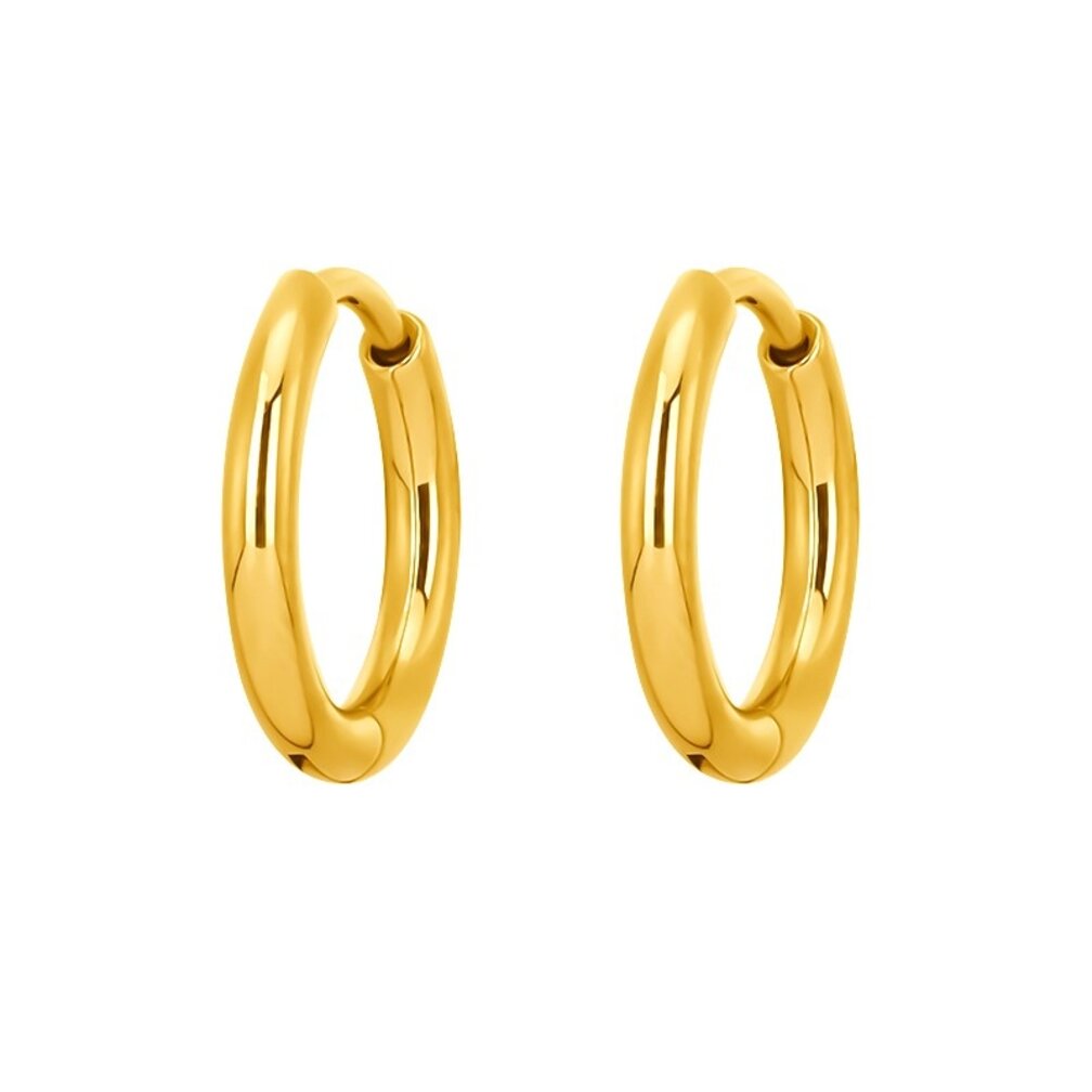 Unieke en Moderne Oorbellen van Titanium - De Enige Echte