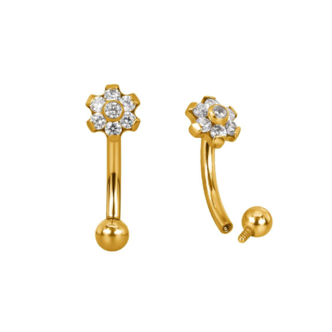 Piercings Works Elegant Flower Titanium Rook Piercing with Crystals