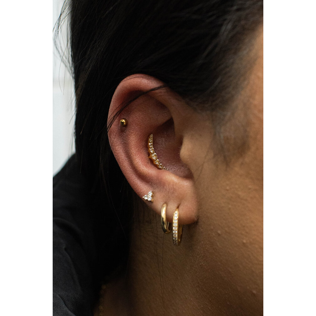 Elegant Titanium Helix / Tragus Piercing -  Crystals