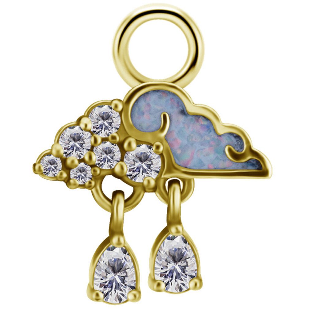 Segment Ring Hanger - Dromerig Wolk & Regendruppels