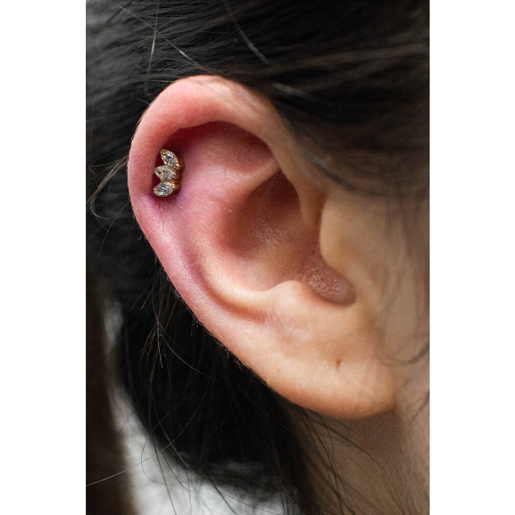 Luxe Titanium Helix / Tragus Piercing - Kristal Cluster