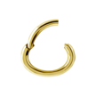 18 Karaat Massief Goud - Ovale Rook Piercing