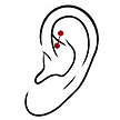 Prachtige en Elegante Chirurgisch Staal Rook Piercing - Met Premium Zirkonia voor een Superieure Uitstraling